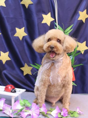 20230712ケンくん